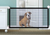 Black Foldable Protection Pet Safety Gate